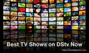 Best TV Shows on DStv Now